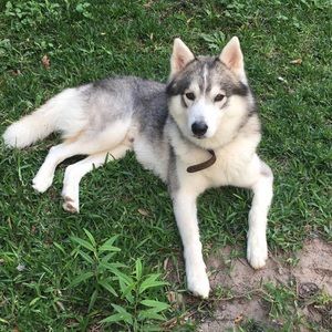 Meet your Posher, Daniela